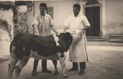 Macelleria Tassetti, Viù orari di apertura