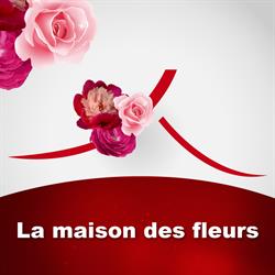La Maison des Fleurs (Formia, orari di apertura