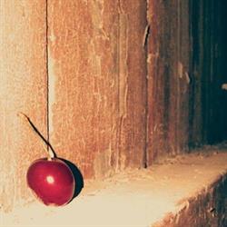 La Ciliegia Green Bed and Breakfast, Bologna orari di apertura