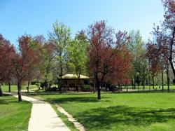BB Parco dei Cedri, Bologna orari di apertura