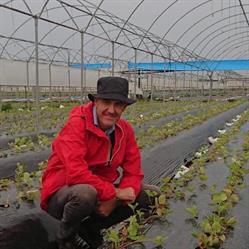 Marco Valerio Del Grosso Agronomo di Campo, Battipaglia orari di apertura