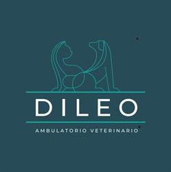 studio Veterinario (Dott. Dileo Sergio), Torino orari di apertura
