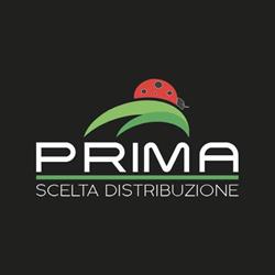 Prima Scelta Distribuzione Di Massimo Di Graziano, San Miniato orari di apertura
