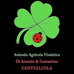 Azienda Agricola Vivaistica di Antonio e Costantino Costigliola, Bacoli orari di apertura