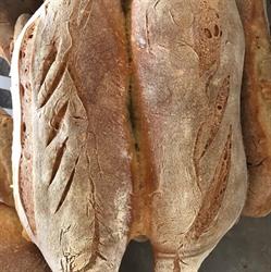 Pane e Fantasia, Taurianova orari di apertura