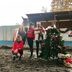 Club Ippico Il Cavaliere, Fucecchio orari di apertura