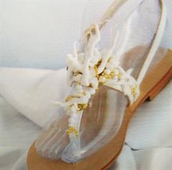 L'Angelo Delle Scarpe, Cremona orari di apertura