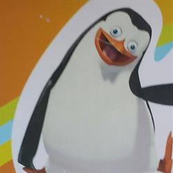 Surgelati Il Pinguino, Qualiano orari di apertura