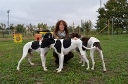 Doctor Dog Centro Servizi Cinofili, Ferrara orari di apertura