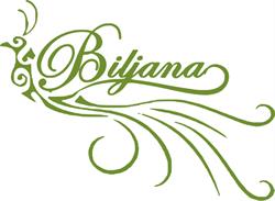 Biljana Assicurazioni - servizi legali e di intermediazione, Anzio orari di apertura