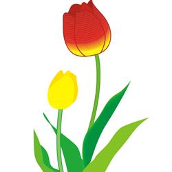 Tuliparty Torino, Pianezza orari di apertura