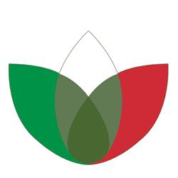 Pietroluongo Luigi Srl, Cassino orari di apertura