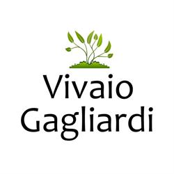 Vivaio Gagliardi, Grottaferrata orari di apertura