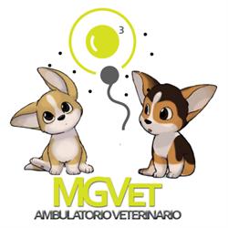 Ambulatorio Veterinario FEBEA, Reggio Calabria orari di apertura