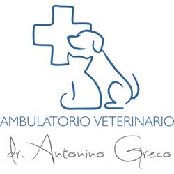 Ambulatorio Veterinario a Bagheria Dott. Antonino Greco, orari di apertura