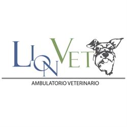 Lionvet Ambulatorio Veterinario - Dott. Alessandro Taormina, Messina orari di apertura
