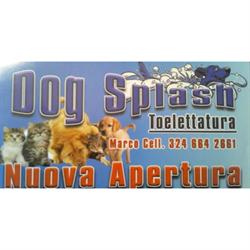 Dog Splash, Palermo orari di apertura