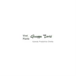 Vivai Piante Torrisi, San Giovanni la Punta orari di apertura