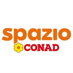 SPAZIO CONAD, Venaria Reale orari di apertura