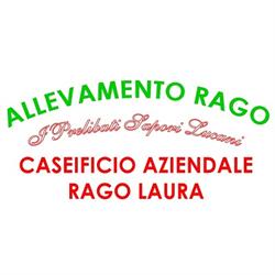 Caseificio Laura Rago, Grassano orari di apertura