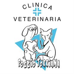 Clinica Veterinaria Poggio Torriana, orari di apertura