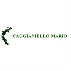 Caggianiello Mario, Foggia orari di apertura