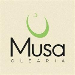 Olearia Musa, Stalettì orari di apertura