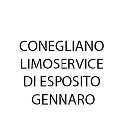 Conegliano Limoservice di Esposito Gennaro, orari di apertura