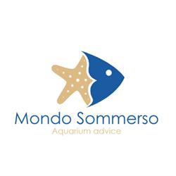 Mondo sommerso acquari per passione, Salerno orari di apertura