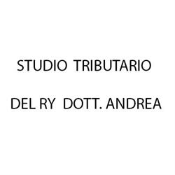 Studio Tributario Del Ry Dott. Andrea, San frediano a settimo orari di apertura