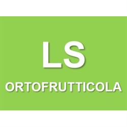 Ls Ortofrutticola - Servizi di Qualita', Licata orari di apertura