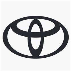 Essegi Auto - Concessionaria Toyota, Caresanablot orari di apertura