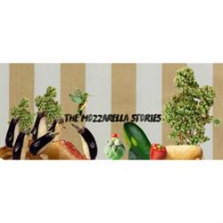 Pizzoteca Mozzarella Stories, Montecatini-Terme orari di apertura