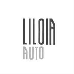 Liloia Auto, Lioni orari di apertura