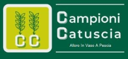 Campioni Catuscia - Alloro Pescia, Veneri orari di apertura