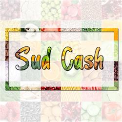 Sud Cash, Eboli orari di apertura