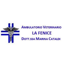 Ambulatorio Veterinario La Fenice Cataldi Dr.ssa Marina, Napoli orari di apertura