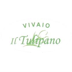 Azienda Florovivaistica Il Tulipano, Follonica orari di apertura