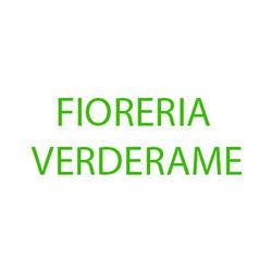 Fioreria Verderame Di Pellegrini Graziella, Provaglio d'Iseo orari di apertura