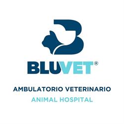 Ambulatorio Veterinario Animal Hospital di Luigi Amato, Velletri orari di apertura