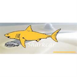 Shark Car - Vendita Auto, Taranto orari di apertura