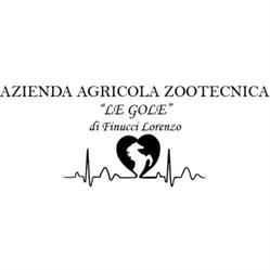 Azienda Zootecnica "Le Gole", Aielli orari di apertura