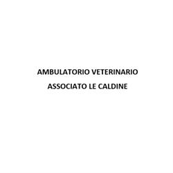 Ambulatorio Veterinario Associato Le Caldine, Fiesole orari di apertura