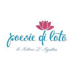 Fioraio Poesie di Loto, Aversa orari di apertura
