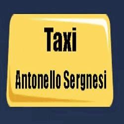 Sergnesi Antonello Servizio Taxi Olbia, orari di apertura