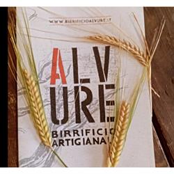 Birrificio Alvure, Samassi orari di apertura