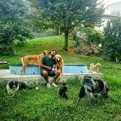 Alessandro Matola Educatore Cinofilo, Lomazzo orari di apertura