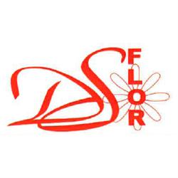 D.s. Flor, Piediripa orari di apertura