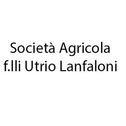 Società Agricola f.lli Utrio Lanfaloni, Bevagna orari di apertura