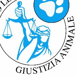Studio Legale GiustiziAnimale, Roma orari di apertura